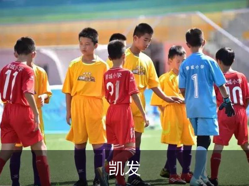 凯发品牌故事
